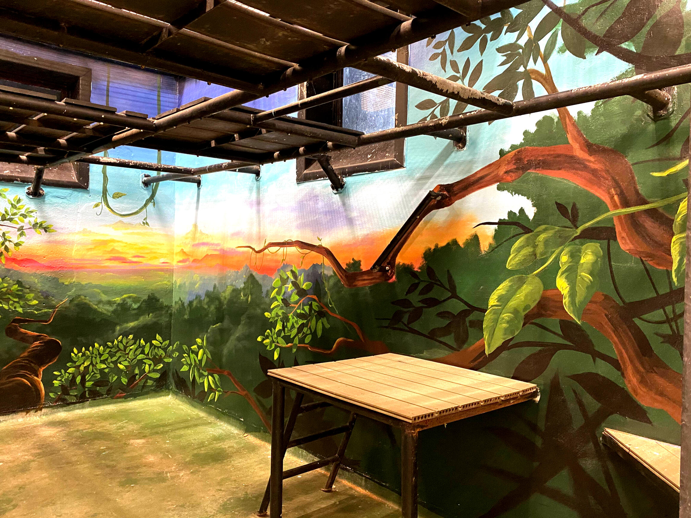 Project Chimps Sanctuary 2020