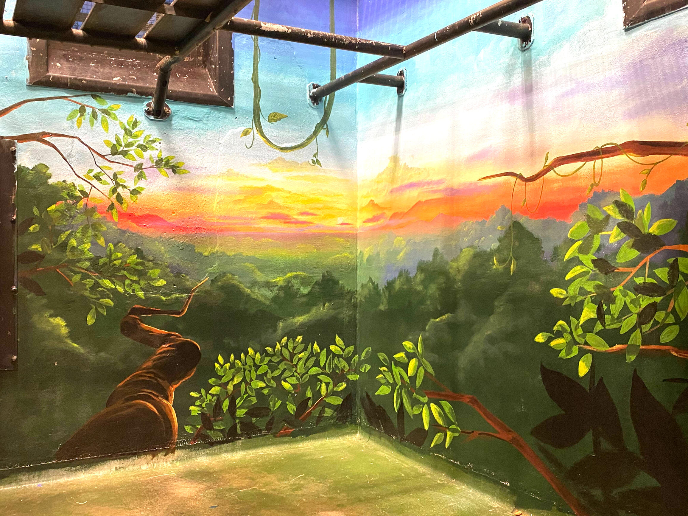 Project Chimps Sanctuary 2020